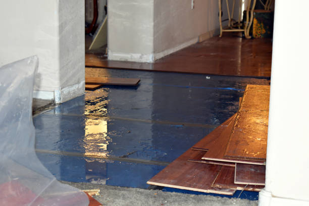 Professional Basement Flood Cleanup technician working in Hartselle, AL